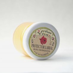 Protector Labial Sabores